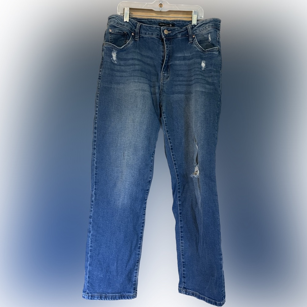 Truth + Theory Jeans Womens Size 14 Blue Boyfriend Skinny Mid Rise Pants